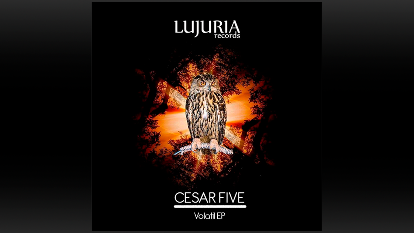 Cesar Five